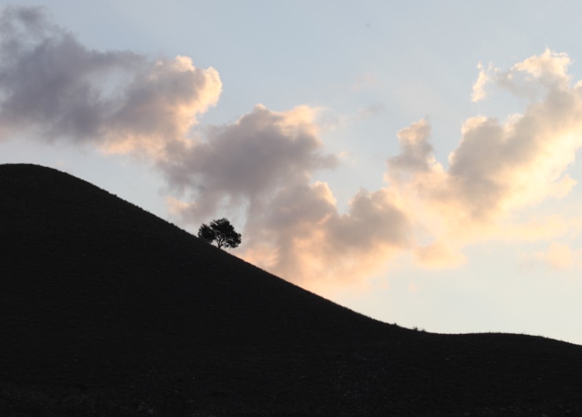 消息樹（新疆慶華集團園區(qū)外景）